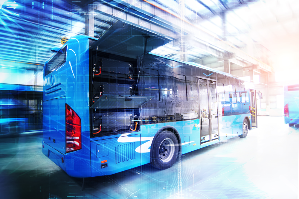 Insights into the Energy Usage Distribution of Electric Buses